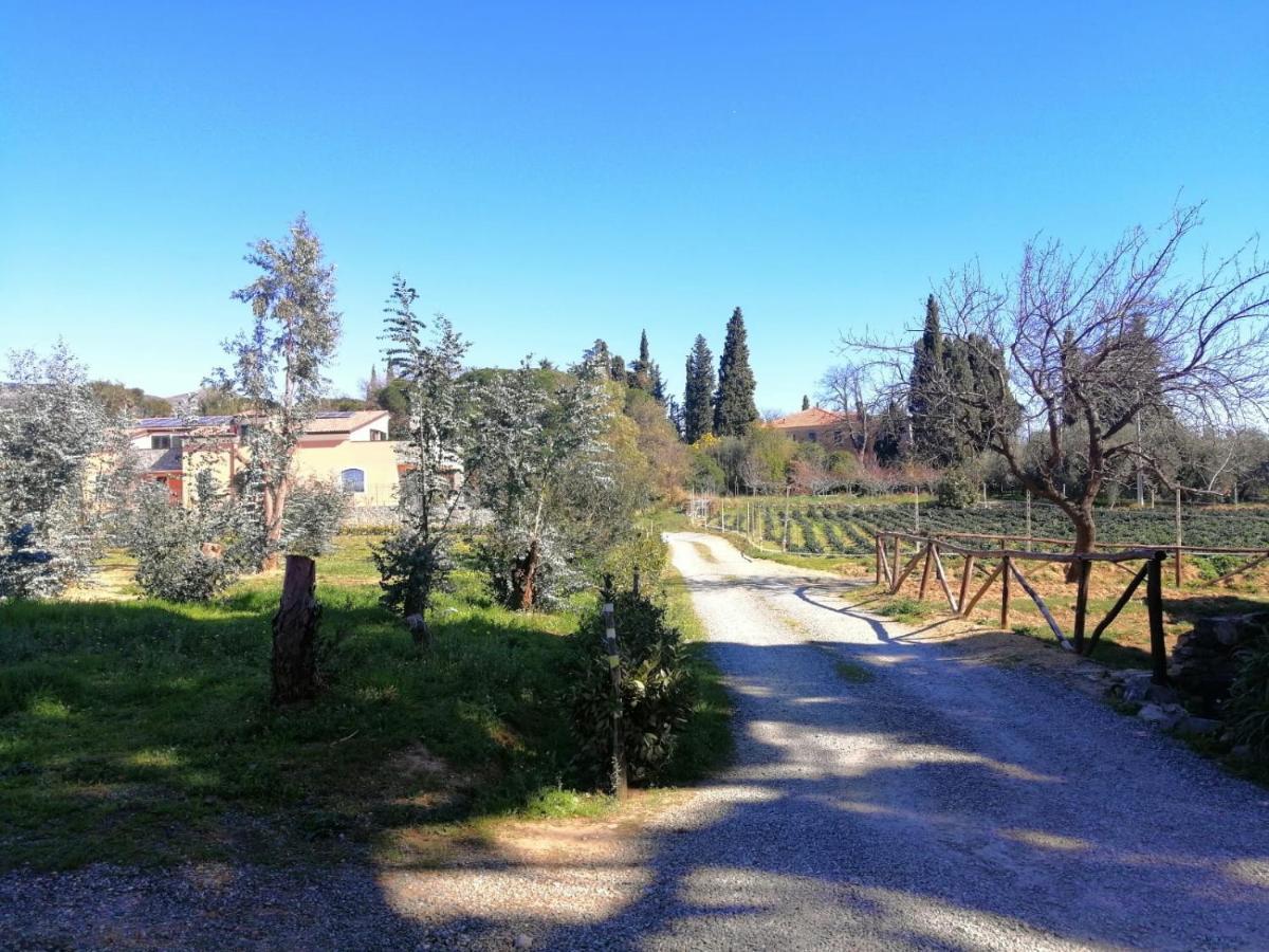 Villa Nonna Litta Albenga Exterior foto